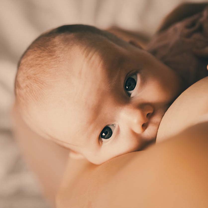 Stillberatung Stillberatung